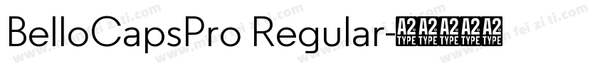 BelloCapsPro Regular字体转换